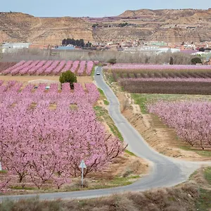  Сasa de vacaciones Casa De L'arbre España